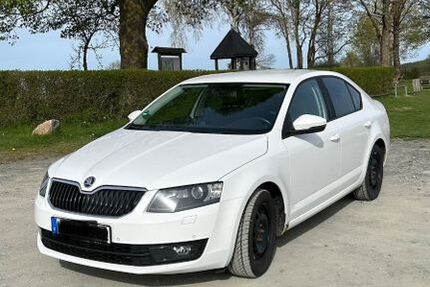 Skoda Octavia 185.000 km 8.800 &euro; Röslau 95195