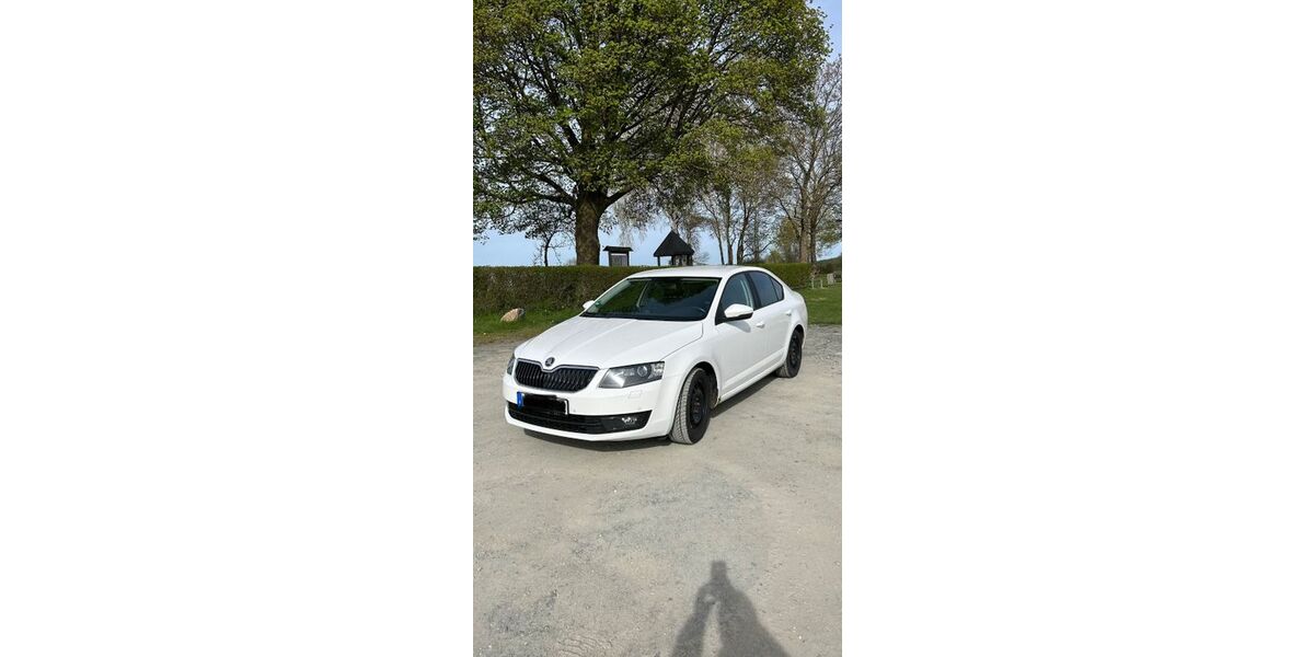 Skoda Octavia 185.000 km 8.800 &euro; Röslau 95195