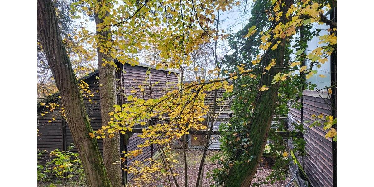 Haus, Immobilie, Traumhaus, Einfamilienhaus zimmer