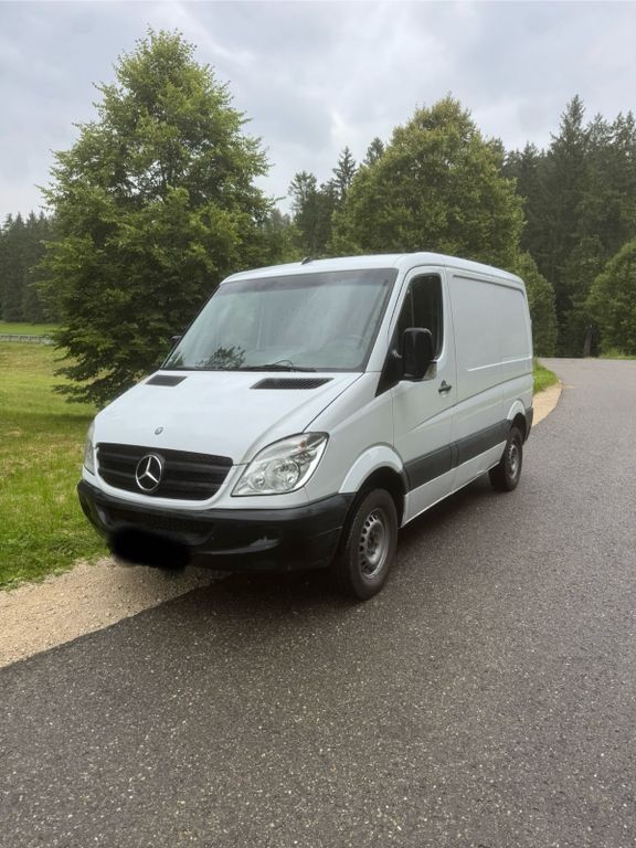 Sprinter