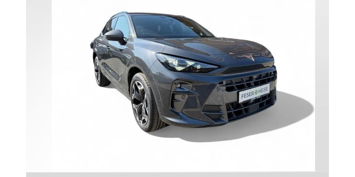 Cupra Terramar 13.014 km 37.950 &euro; Dessau-Roßlau 06842