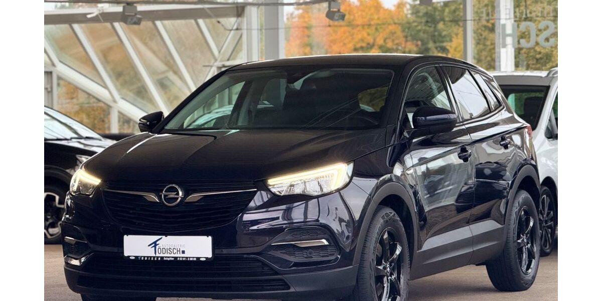 Opel Grandland (X) 94.321 km 13.770 € Salzgitter 38228