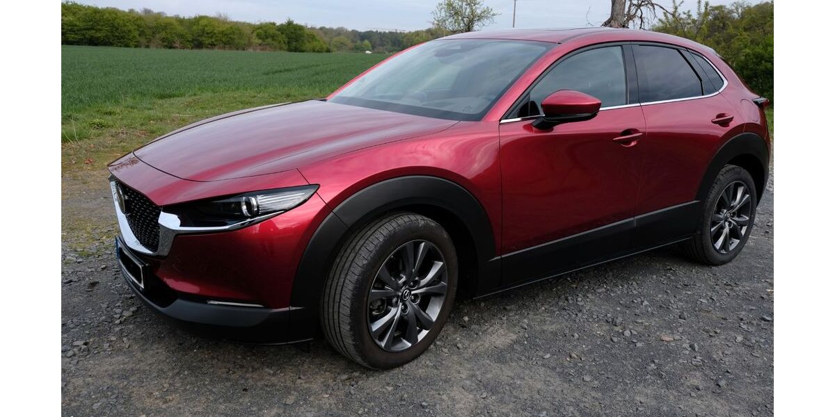 Mazda CX-30 27.500 km 28.500 &euro; Mühlheim 63165