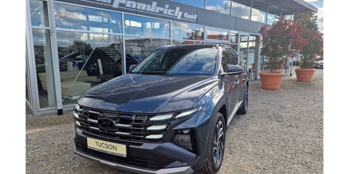 Hyundai TUCSON 2.000 km 41.900 &euro; Offenburg 77652