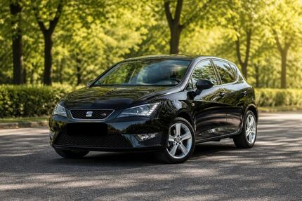 Seat Ibiza 55.400 km 13.999 &euro; Brandenburg an der Havel 14772