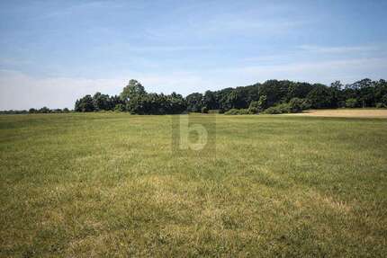 Grundstück Dreschvitz - 65.000&euro; | Angebot:25549249