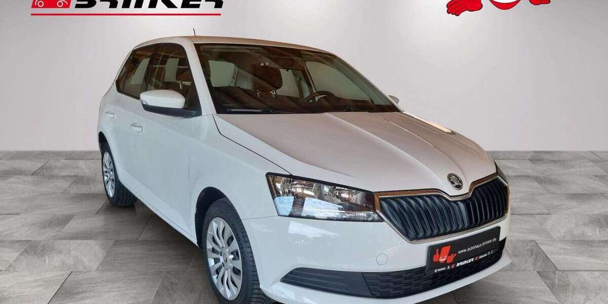 Skoda Fabia 77.055 km 9.830 &euro; Bielefeld 33649