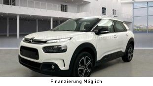 C4 Cactus
