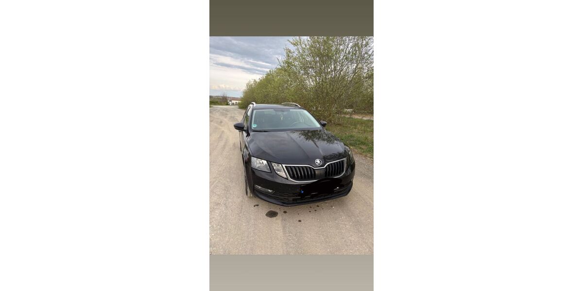 Skoda Octavia 180.000 km 13.100 &euro; Linden 35440
