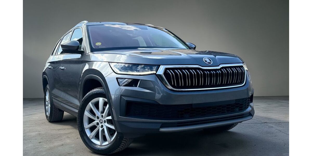 Skoda Kodiaq 105.410 km 24.499 &euro; Potsdam 14482