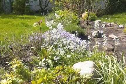 Freistehendes EFH auf grossem Grundstück 3 zimmer