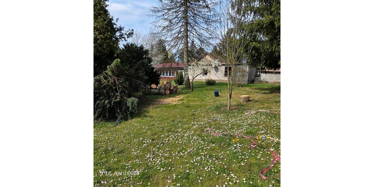 Einfamilienhaus Müncheberg - 8 Zimmer, 320 m&sup2;, 2.600&euro; | Angebot:26666075