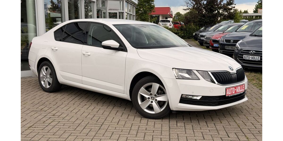 Skoda Octavia 119.000 km 13.950 &euro; Magdeburg 39120