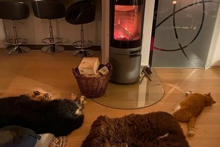 Haus zu vermieten 6.5 zimmer