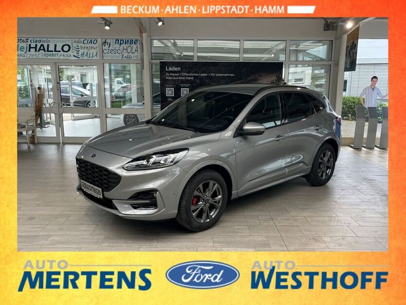 Kuga