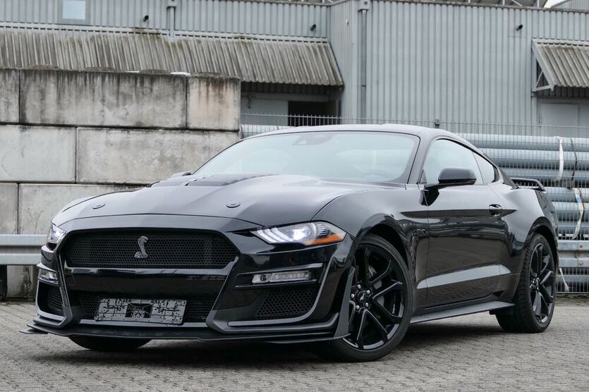 Mustang