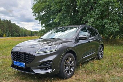 Ford Kuga 49.800 km 21.100 &euro; Döbern 03159