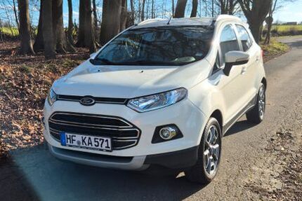 Ford EcoSport 98.500 km 8.300 &euro; Spenge 32139