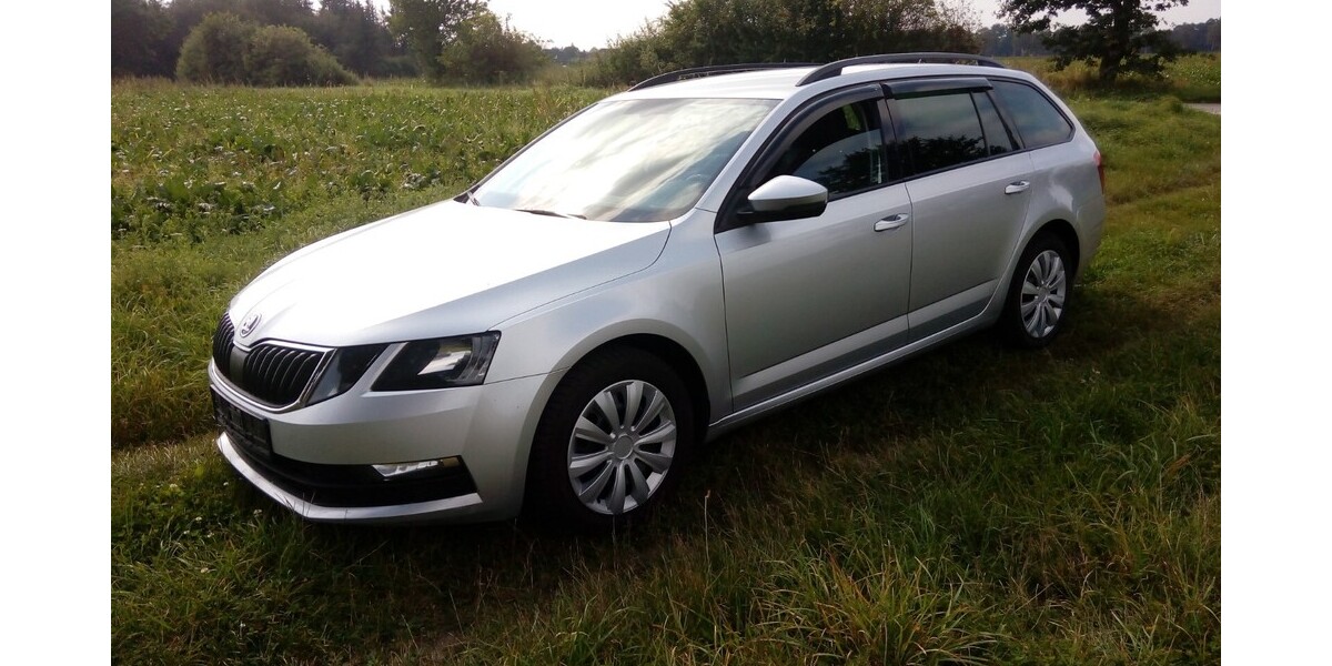 Skoda Octavia 240.420 km 8.300 &euro; Wrestedt 29559