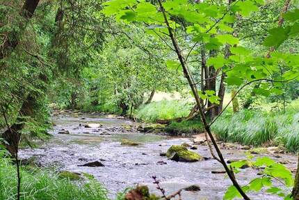 Grün, nachhaltig & regional. Wald als wertstabiles Investment! zimmer