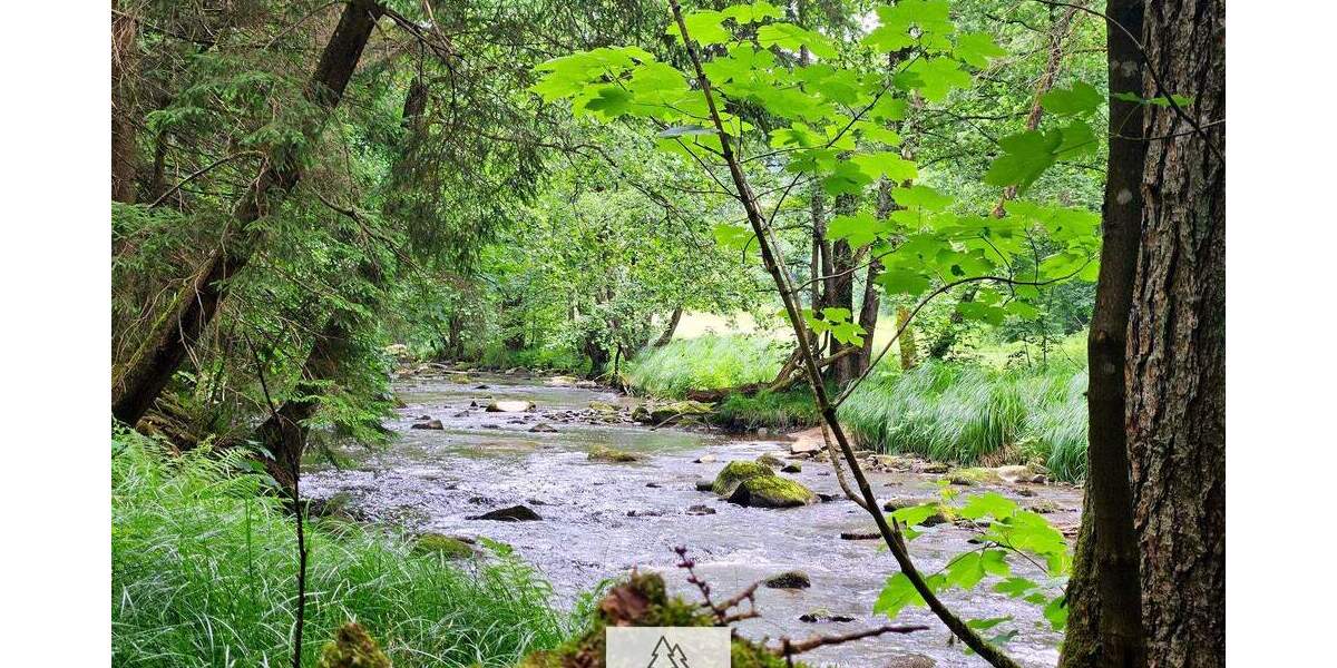 Grün, nachhaltig & regional. Wald als wertstabiles Investment! zimmer