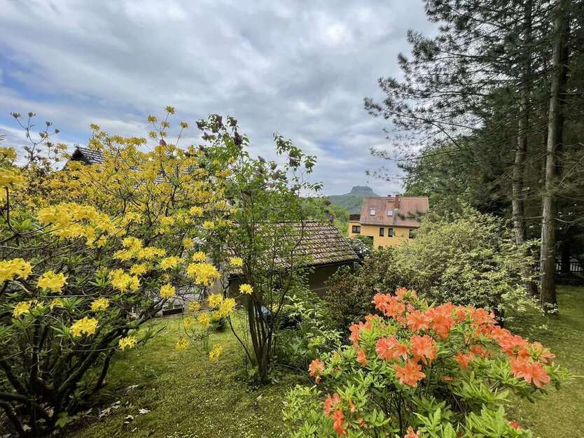 Haus zum Kaufen in Thürmsdorf 492.000 € 135 m²