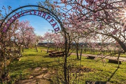 Grundstück Neustadt Gimmeldingen - 368.000&euro; | Angebot:25690709