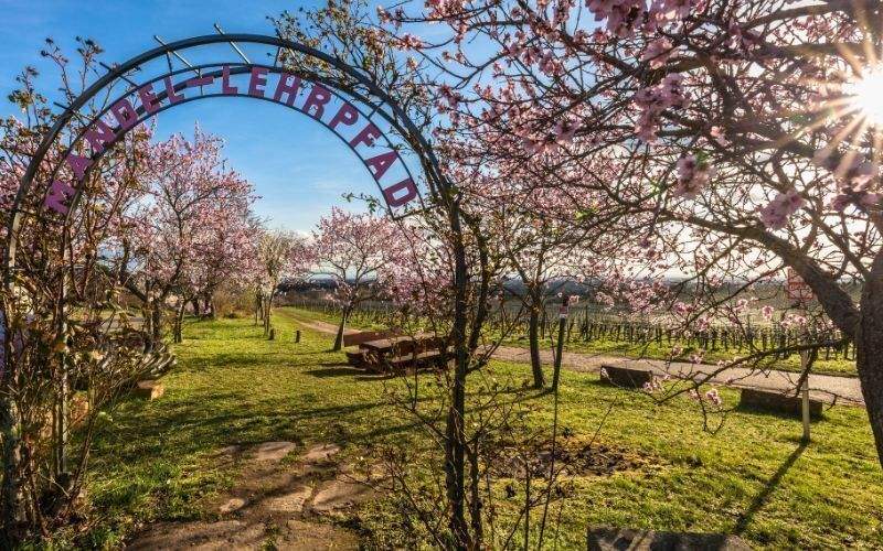 Grundstück Neustadt Gimmeldingen - 368.000&euro; | Angebot:25690709