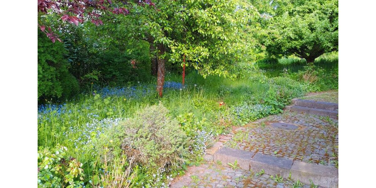 Einfamilienhaus Ottweiler - 7 Zimmer, 230 m&sup2;, 435.000&euro; | Angebot:26423713