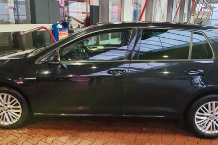 VW Golf 238.000 km 7.000 &euro; Offenburg 77656