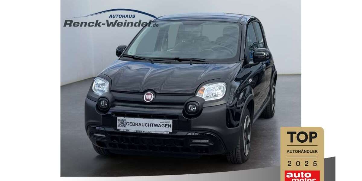 Fiat Panda 29.050 km 11.989 € Mannheim 68167