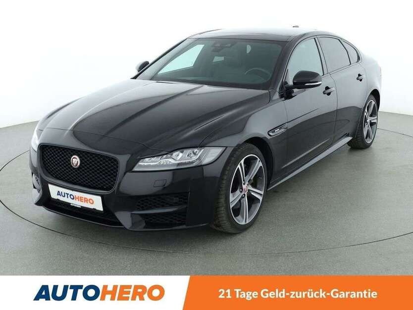 XF