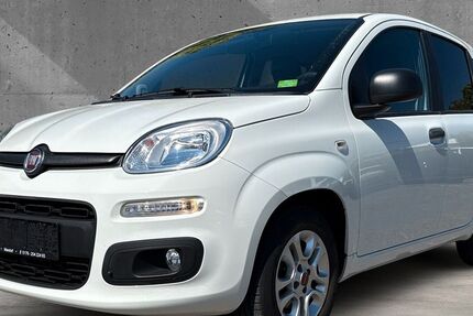 Fiat Panda 25.491 km 9.490 &euro; Maxdorf 67133