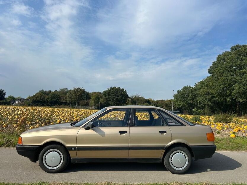 80