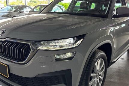 Skoda Kodiaq 127.616 km 24.450 &euro; Steinbach-Hallenberg OT Herges-Hallenberg 98587