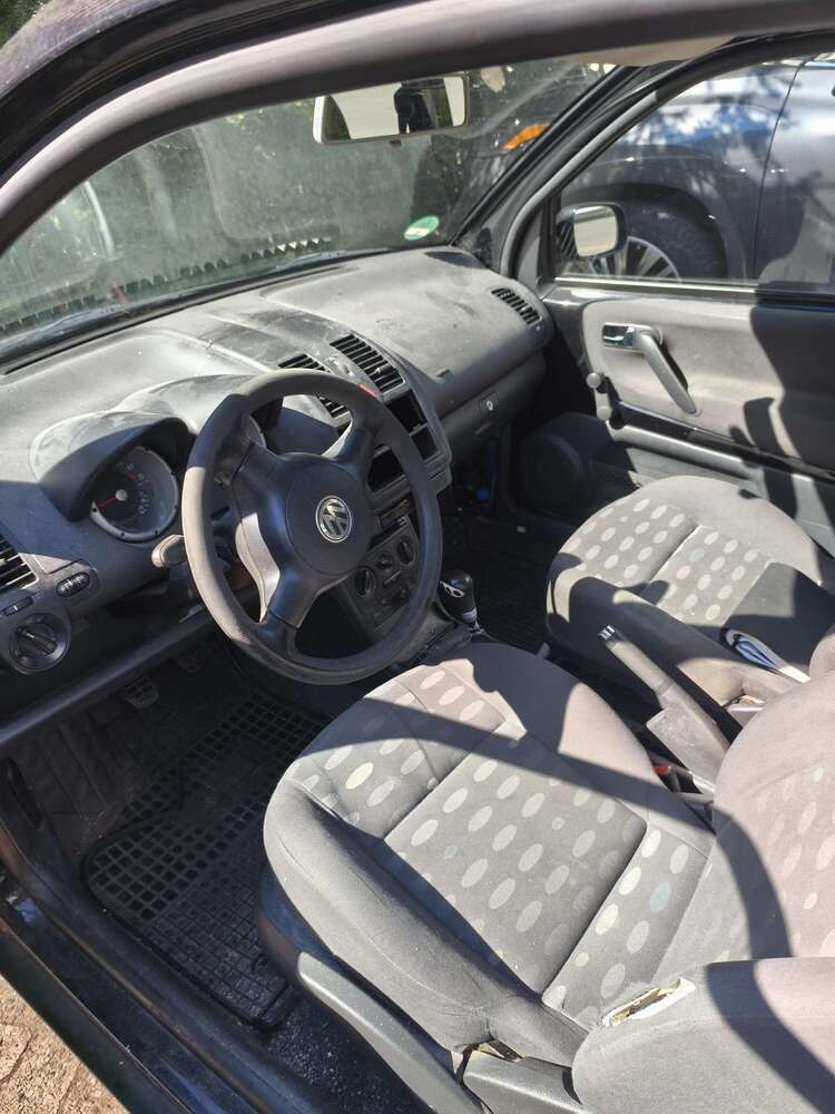 Lupo