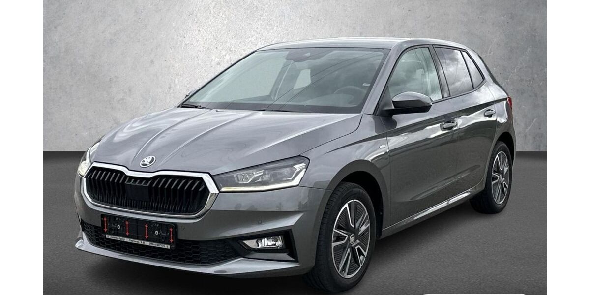 Skoda Fabia 25.800 km 19.990 &euro; Chamerau 93466