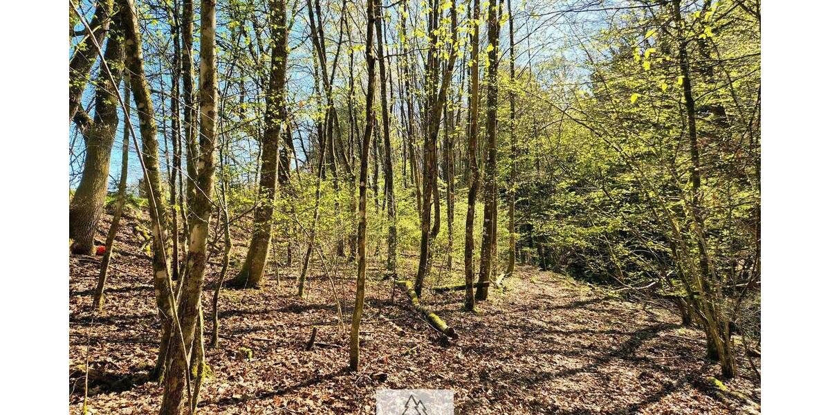 Grundstück Mainhardt Ammertsweiler - 34.900&euro; | Angebot:26798338