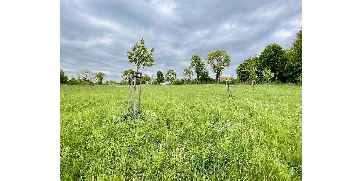 Grundstück Bischofswerda - 99.000&euro; | Angebot:25781041