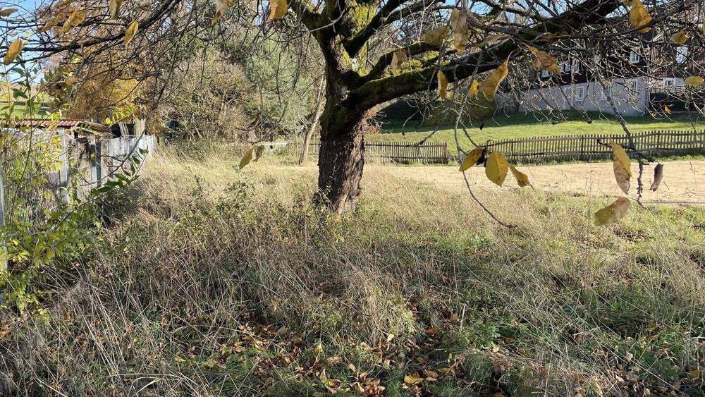 Ländlich wohnen zimmer