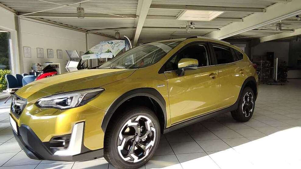 XV