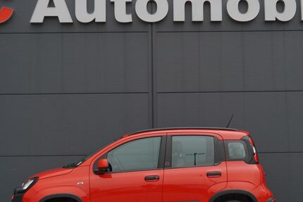 Fiat Panda 40.000 km 10.880 &euro; Velen 46342