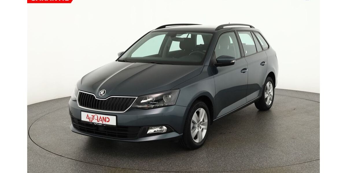 Skoda Fabia 59.989 km 16.990 € Rostock 18146