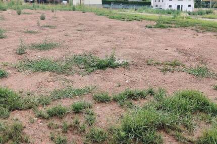 Grundstück Flöha Falkenau - 82.120&euro; | Angebot:23987456