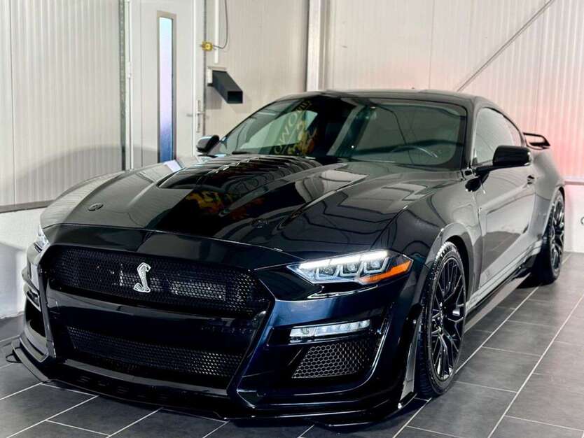Mustang