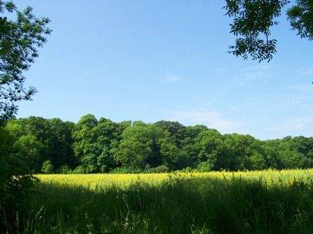 *** Weidegrundstück mit knapp 2500m² *** zimmer