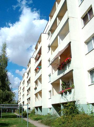 Wir geben Köthen ein Zuhause ...