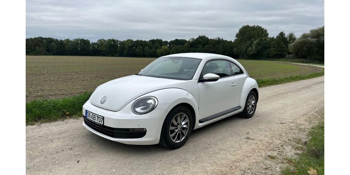 VW Beetle 155.758 km 7.150 &euro; Rain 94369