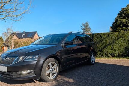 Skoda Octavia 181.871 km 11.000 &euro; Hanerau-Hademarschen 25557