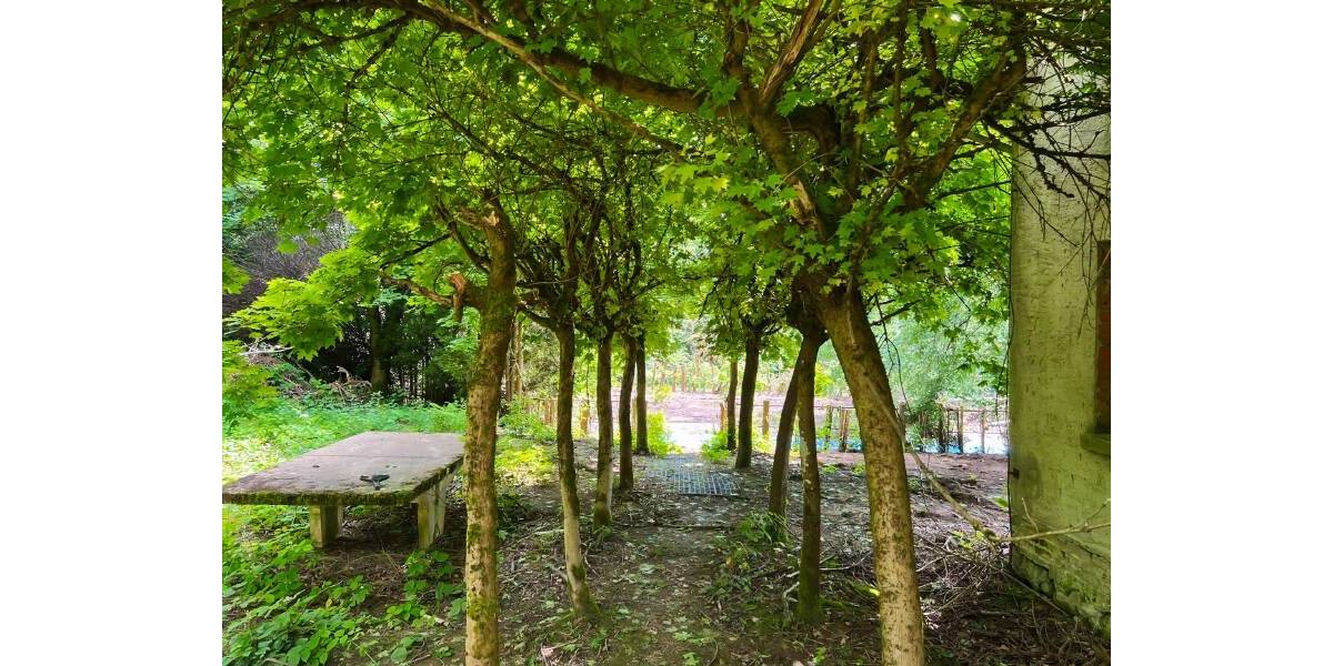 Bauernhaus, Landhaus Neustadt Berthelsdorf - 5 Zimmer, 150 m&sup2;, 485.000&euro; | Angebot:25770653